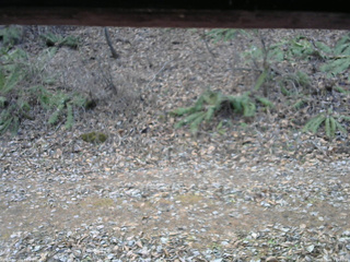 長野県菅平高原 ゆたか山荘 南側 2025/12/01 14:45