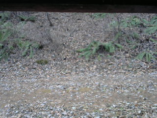 長野県菅平高原 ゆたか山荘 南側 2025/12/01 15:30