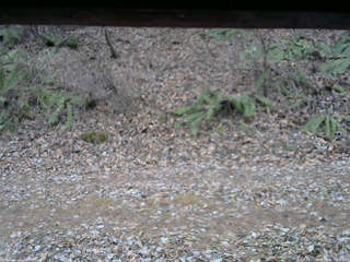 長野県菅平高原 ゆたか山荘 南側 2025/12/01 16:00