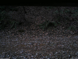 長野県菅平高原 ゆたか山荘 南側 2025/12/01 16:45