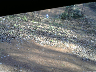 長野県菅平高原 ゆたか山荘 駐車場 2025/12/01 11:45