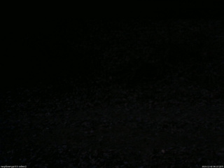 長野県菅平高原 ゆたか山荘 南側 2025/12/02 06:15