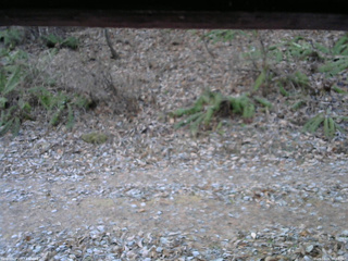 長野県菅平高原 ゆたか山荘 南側 2025/12/02 06:45