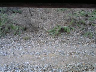 長野県菅平高原 ゆたか山荘 南側 2025/12/02 07:00