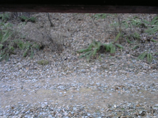 長野県菅平高原 ゆたか山荘 南側 2025/12/02 07:15