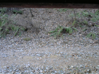 長野県菅平高原 ゆたか山荘 南側 2025/12/02 07:30