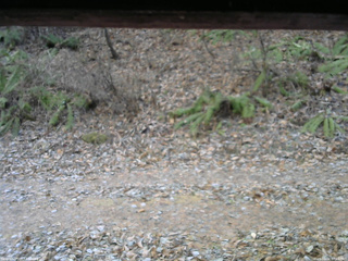 長野県菅平高原 ゆたか山荘 南側 2025/12/02 07:45