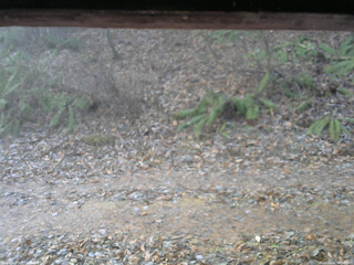 長野県菅平高原 ゆたか山荘 南側 2025/12/02 08:00