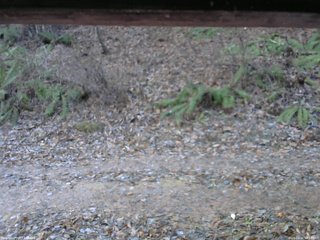 長野県菅平高原 ゆたか山荘 南側 2025/12/02 08:15