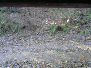 長野県菅平高原 ゆたか山荘 南側 2025/12/02 08:30