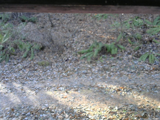 長野県菅平高原 ゆたか山荘 南側 2025/12/02 08:45