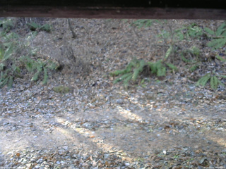 長野県菅平高原 ゆたか山荘 南側 2025/12/02 09:00