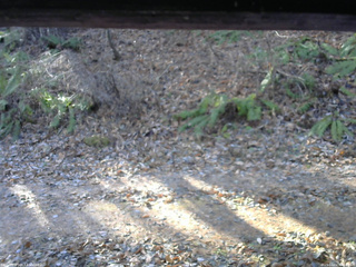 長野県菅平高原 ゆたか山荘 南側 2025/12/02 09:15