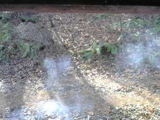 長野県菅平高原 ゆたか山荘 南側 2025/12/02 10:00