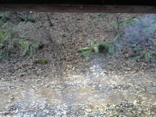 長野県菅平高原 ゆたか山荘 南側 2025/12/02 10:30