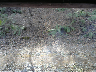 長野県菅平高原 ゆたか山荘 南側 2025/12/02 10:45