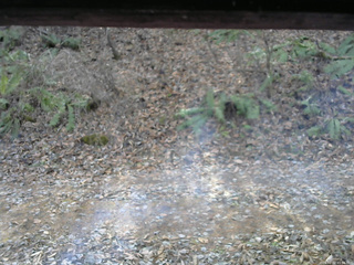 長野県菅平高原 ゆたか山荘 南側 2025/12/02 11:00