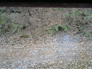 長野県菅平高原 ゆたか山荘 南側 2025/12/02 11:30