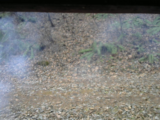 長野県菅平高原 ゆたか山荘 南側 2025/12/02 11:45