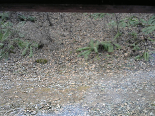 長野県菅平高原 ゆたか山荘 南側 2025/12/02 12:00