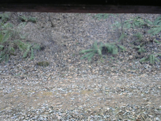 長野県菅平高原 ゆたか山荘 南側 2025/12/02 12:15