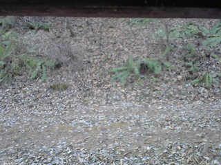 長野県菅平高原 ゆたか山荘 南側 2025/12/02 12:30