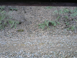 長野県菅平高原 ゆたか山荘 南側 2025/12/02 13:15