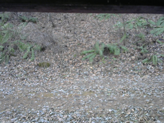 長野県菅平高原 ゆたか山荘 南側 2025/12/02 13:30