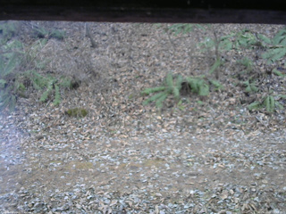 長野県菅平高原 ゆたか山荘 南側 2025/12/02 13:45