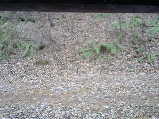 長野県菅平高原 ゆたか山荘 南側 2025/12/02 14:00