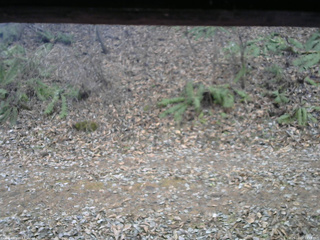 長野県菅平高原 ゆたか山荘 南側 2025/12/02 14:15