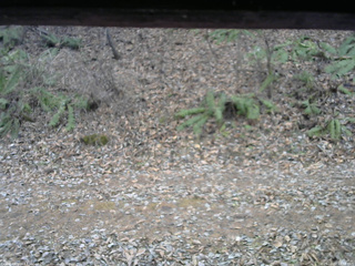 長野県菅平高原 ゆたか山荘 南側 2025/12/02 14:30