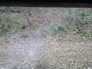 長野県菅平高原 ゆたか山荘 南側 2025/12/02 15:00