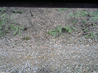 長野県菅平高原 ゆたか山荘 南側 2025/12/02 15:15