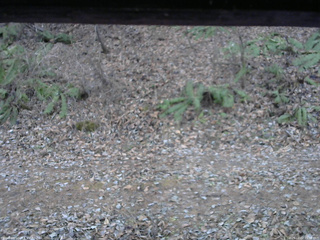 長野県菅平高原 ゆたか山荘 南側 2025/12/02 15:30