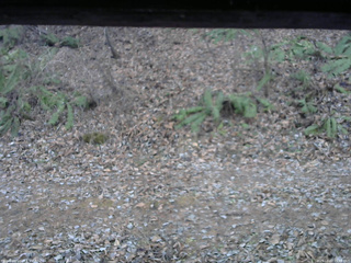 長野県菅平高原 ゆたか山荘 南側 2025/12/02 15:45