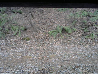 長野県菅平高原 ゆたか山荘 南側 2025/12/02 16:00