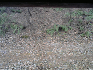 長野県菅平高原 ゆたか山荘 南側 2025/12/02 16:15