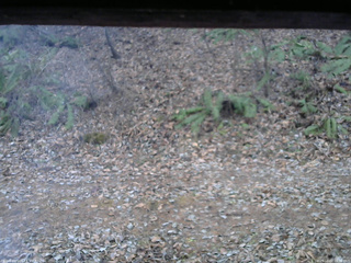 長野県菅平高原 ゆたか山荘 南側 2025/12/02 16:30