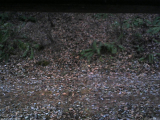 長野県菅平高原 ゆたか山荘 南側 2025/12/02 16:45