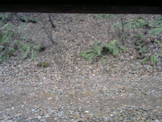 長野県菅平高原 ゆたか山荘 南側 2025/12/03 14:15