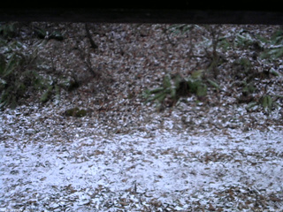 長野県菅平高原 ゆたか山荘 南側 2025/12/03 16:30