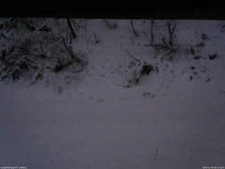 長野県菅平高原 ゆたか山荘 南側 2025/12/04 06:15