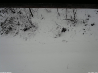 長野県菅平高原 ゆたか山荘 南側 2025/12/04 08:45