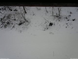 長野県菅平高原 ゆたか山荘 南側 2025/12/04 09:15