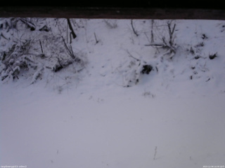 長野県菅平高原 ゆたか山荘 南側 2025/12/04 10:30