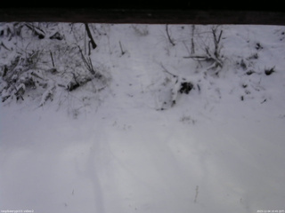 長野県菅平高原 ゆたか山荘 南側 2025/12/04 10:45