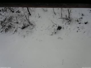 長野県菅平高原 ゆたか山荘 南側 2025/12/04 11:15