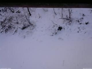 長野県菅平高原 ゆたか山荘 南側 2025/12/04 12:30