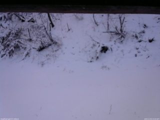 長野県菅平高原 ゆたか山荘 南側 2025/12/04 13:30